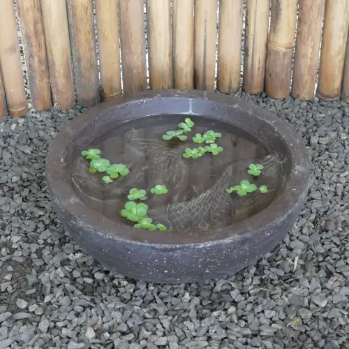 Product image of the product “Waterbowl with 2 Fish, cast stone, handcrafted & coloured, in the diameter 40cm and 50cm, Antique finish ”